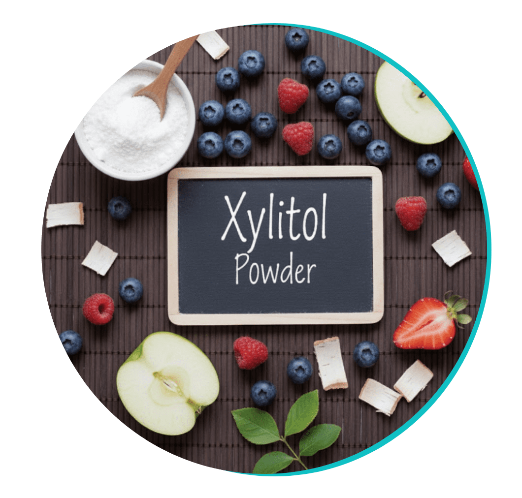 BioDentex ingredient Xylitol powder: